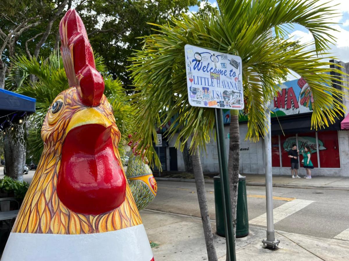 Stunning Little Havana Suites Close To Airport, Calle Ocho, Brickell, Wynwood And The Beaches - Free Parking Miami Zewnętrze zdjęcie